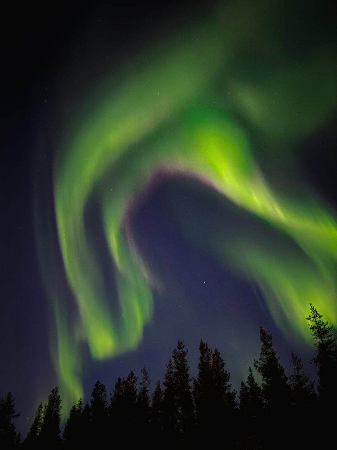 Aurora Hill Resort Northern Lights