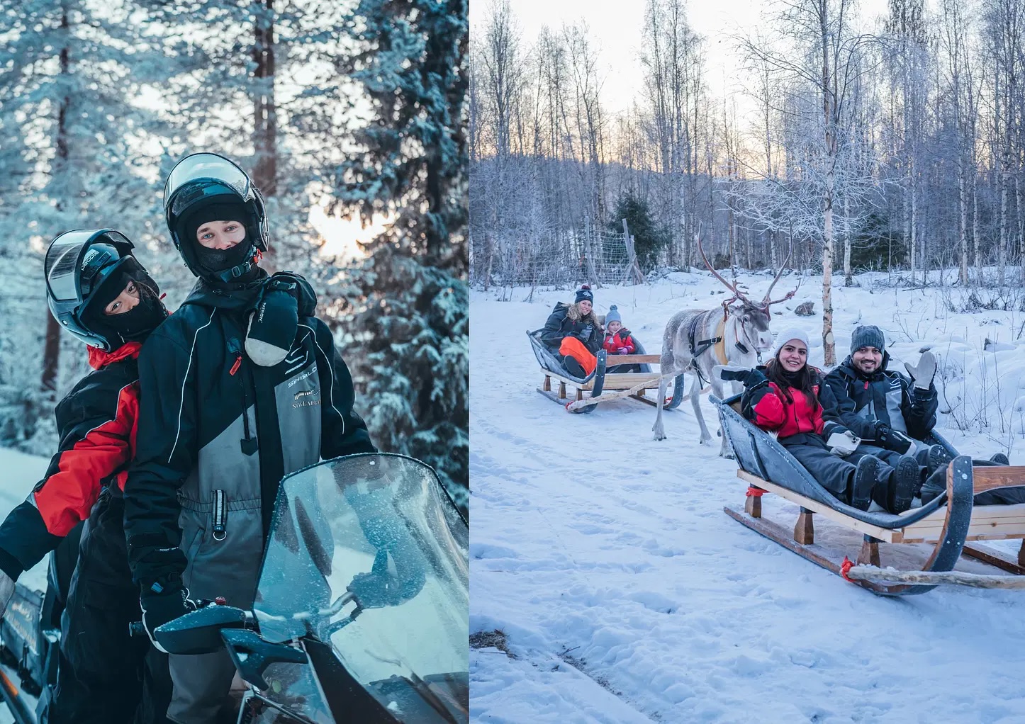 Kuoksa reindeer and snowmobile adventure activity. Reindeer and snowmobile tour, safari. StayLapland, Rovaniemi, Lapland, finland. Reindeer safari, reindeer tour, reindeer activity. Snowmobile activity, snowmobile safari, snowmobile tour
