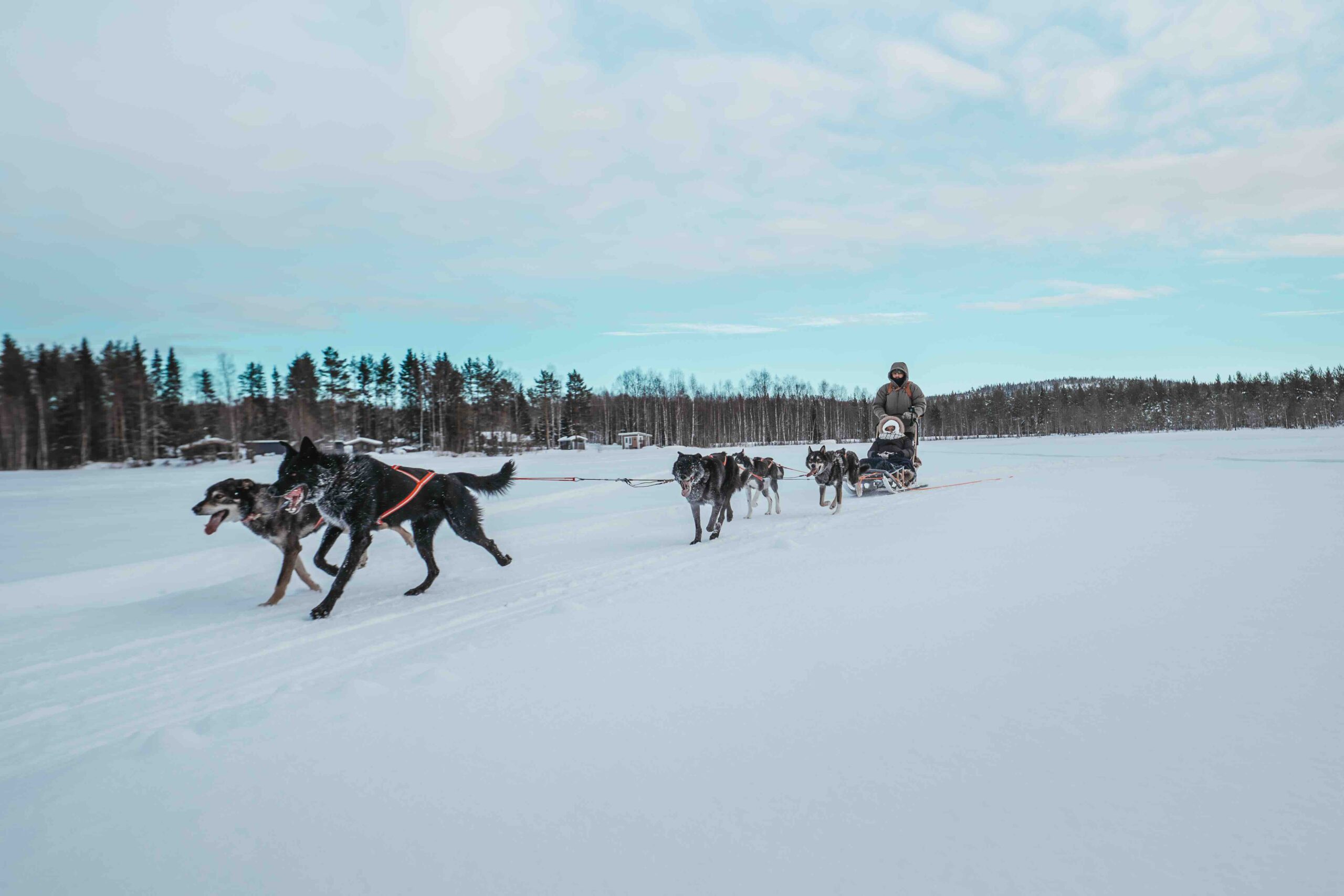The people behind the Kuoksa Husky Park - StayLapland