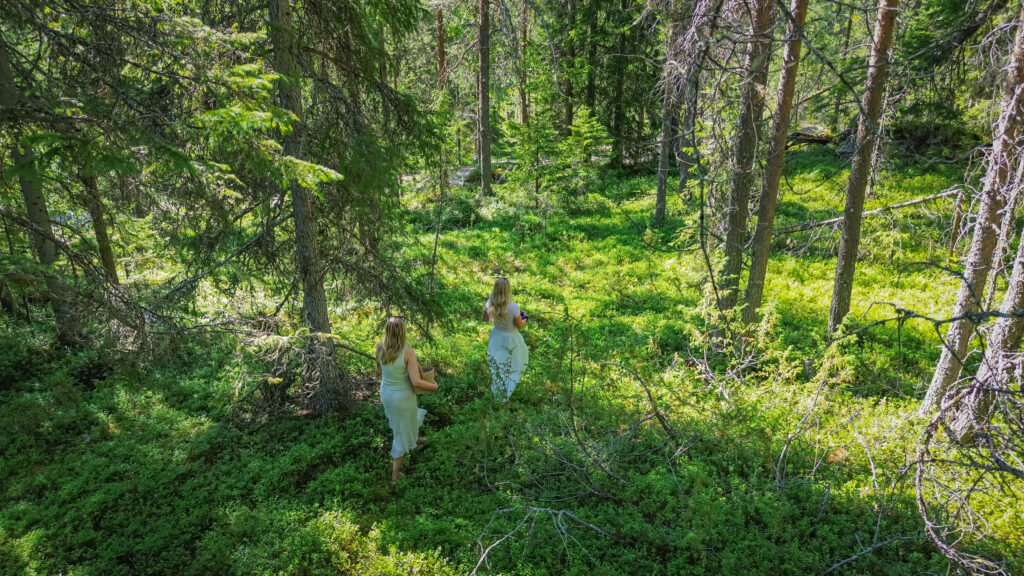 Hidden trails of Kuoksa tour in Rovaniemi, Lapland. StayLapland. Hiking safari, hiking activity