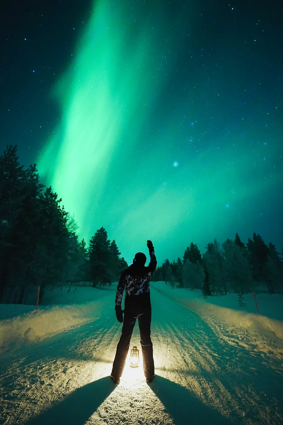 StayLapland Bucket List Bus Tour Aurora Hunting. Northern Lights tour, northern lights activity, northern lights safari. Aurora borealis, Rovaniemi, Lapland, Finland. BookLapland