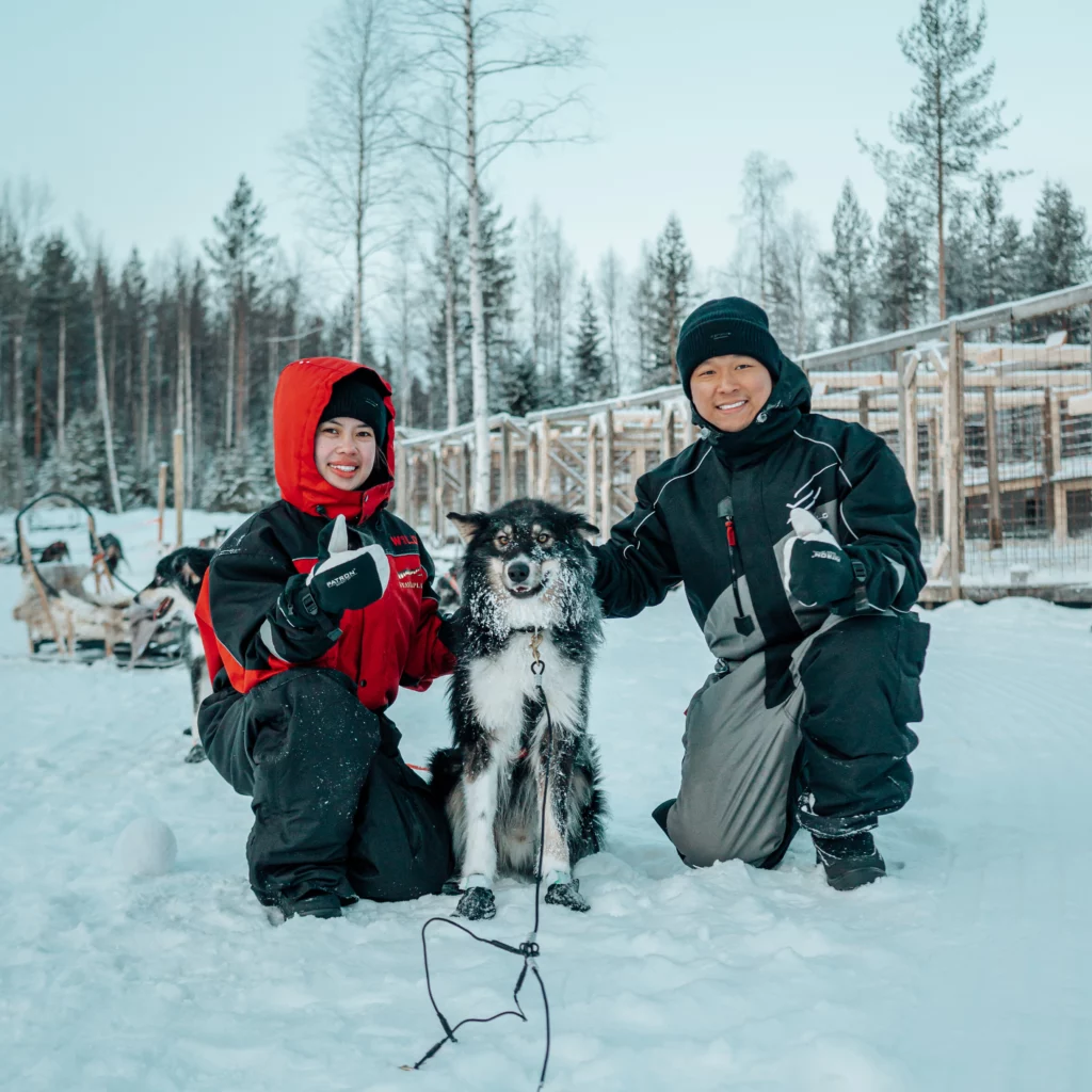 Husky Rovaniemi, Kuoksa Husky Park, Husky ride, husky tour, husky safari, husky activity, lapland