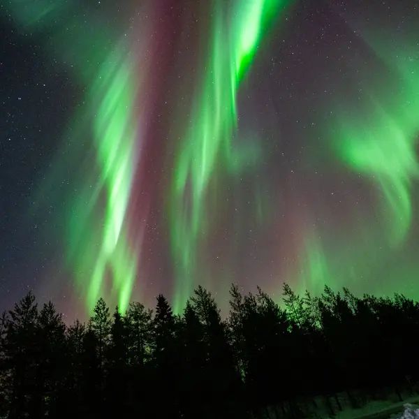 How are auroras formed? The Science Behind the Northern Lights in Rovaniemi