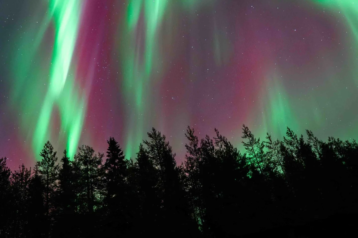 StayLapland Northern Lights tour at the campfire. Northern Lights safari, northern lights activity. Rovaniemi, Lapland, finland. Kuoksa wilderness park