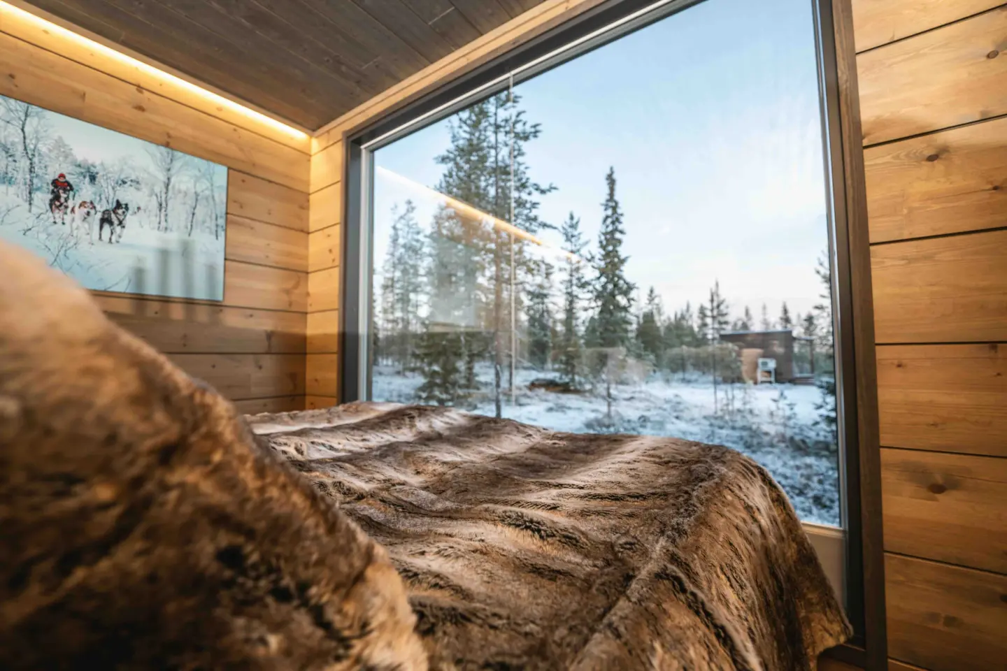 Aurora Hill Resort Rovaniemi Aurora Suite