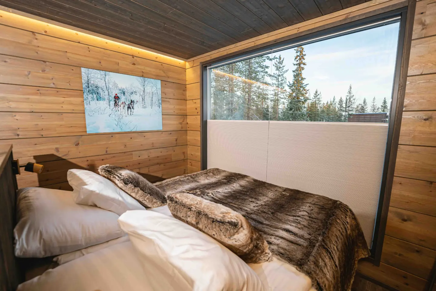 Aurora Hill Resort Rovaniemi Aurora Suite