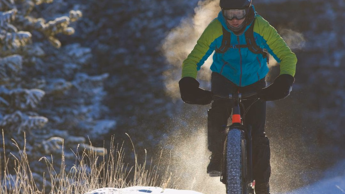 Lapland Winter Park eFatbike-safari