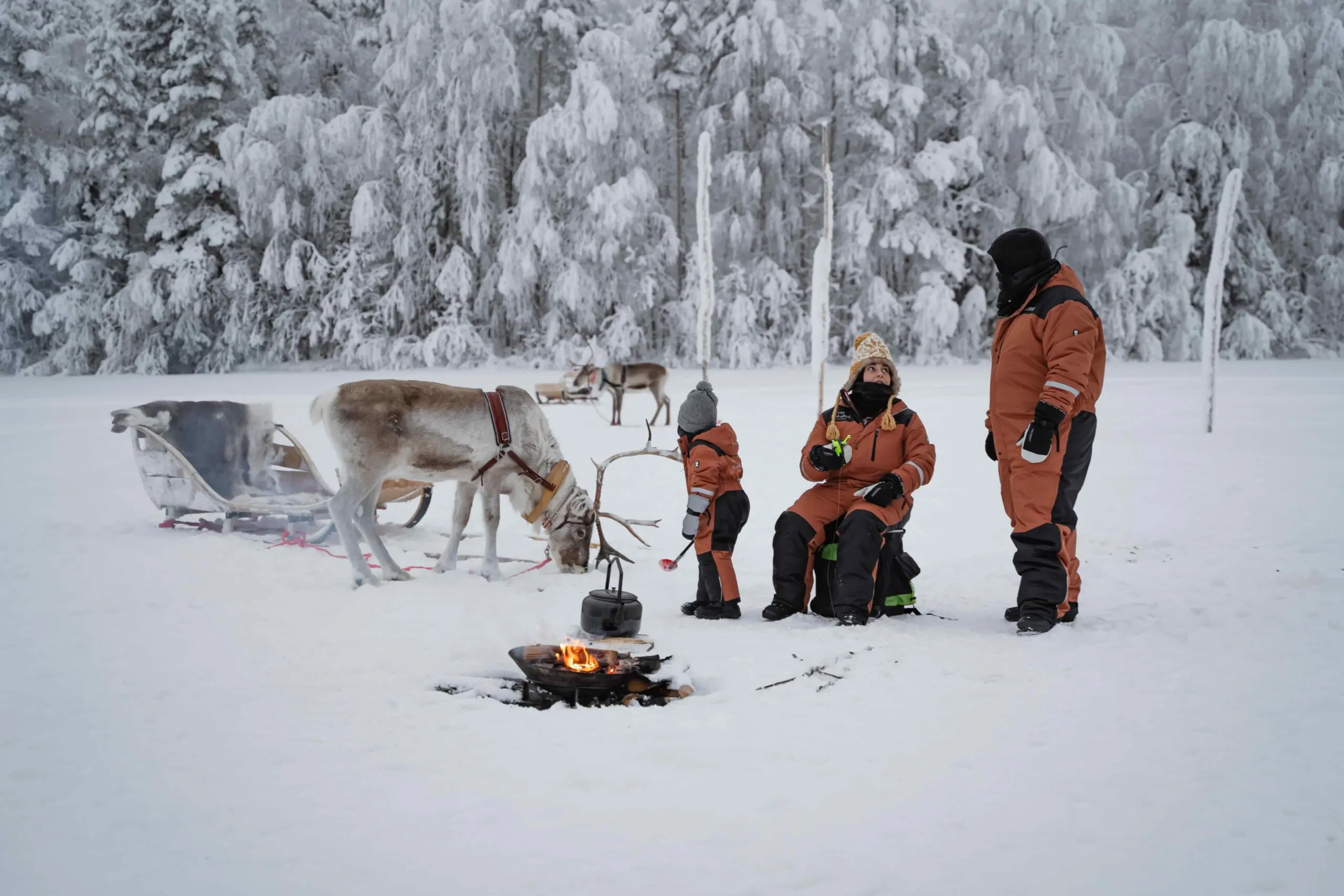 StayLapland Ice Fishing With Reindeer safari