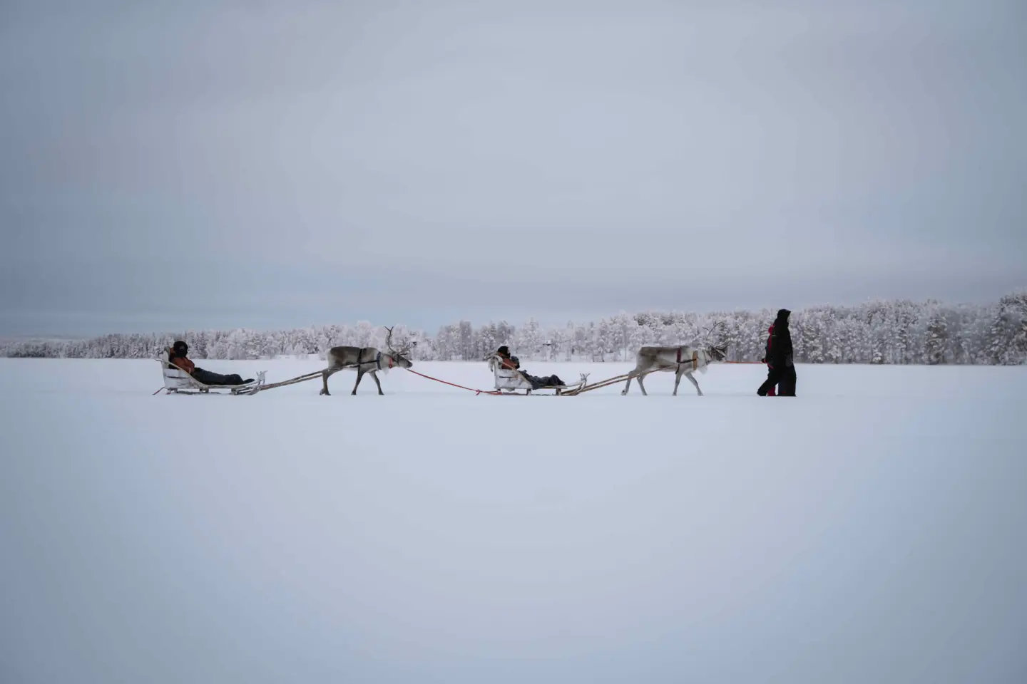 StayLapland Ice Fishing With Reindeer tour in Lapland