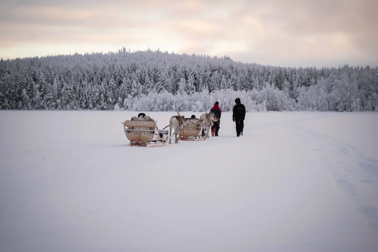 StayLapland Ice Fishing With Reindeer tour in Rovaniemi