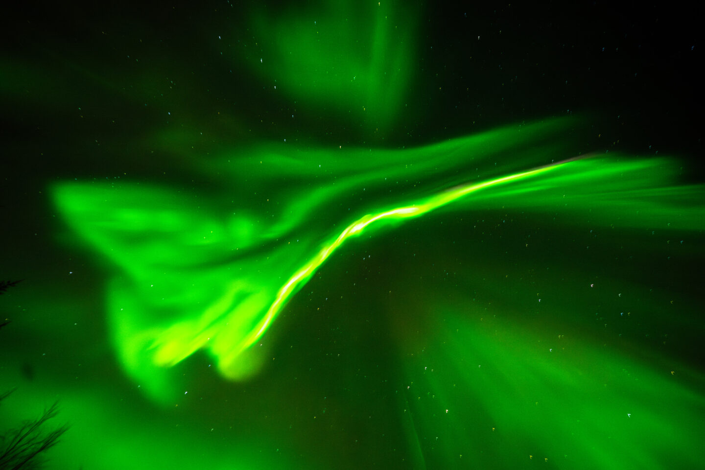 Professional Northern Lights Hunting Tour from Rovaniemi – Guaranteed (PRIVATE)