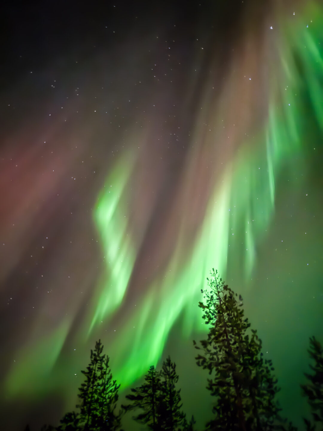 Professional Northern Lights Hunting Tour from Rovaniemi – Guaranteed (PRIVATE)