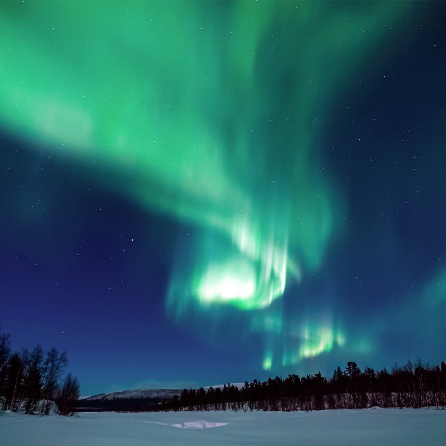 Northern Light Tour into a private cabin Rovaniemi, Lapland